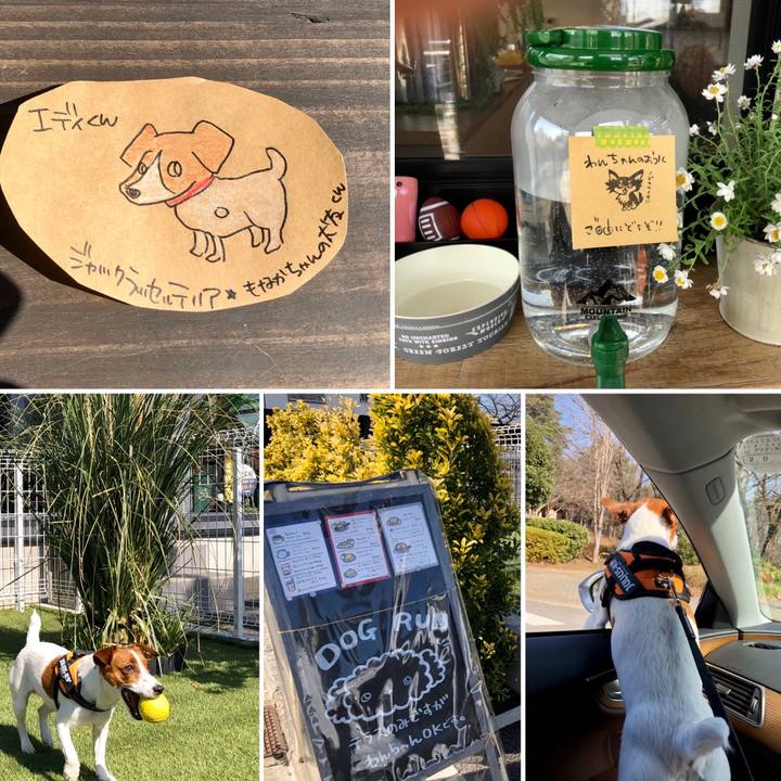 7542e3fc e06b 4ecd 8338 2a9f9f731ae8 1582540062203