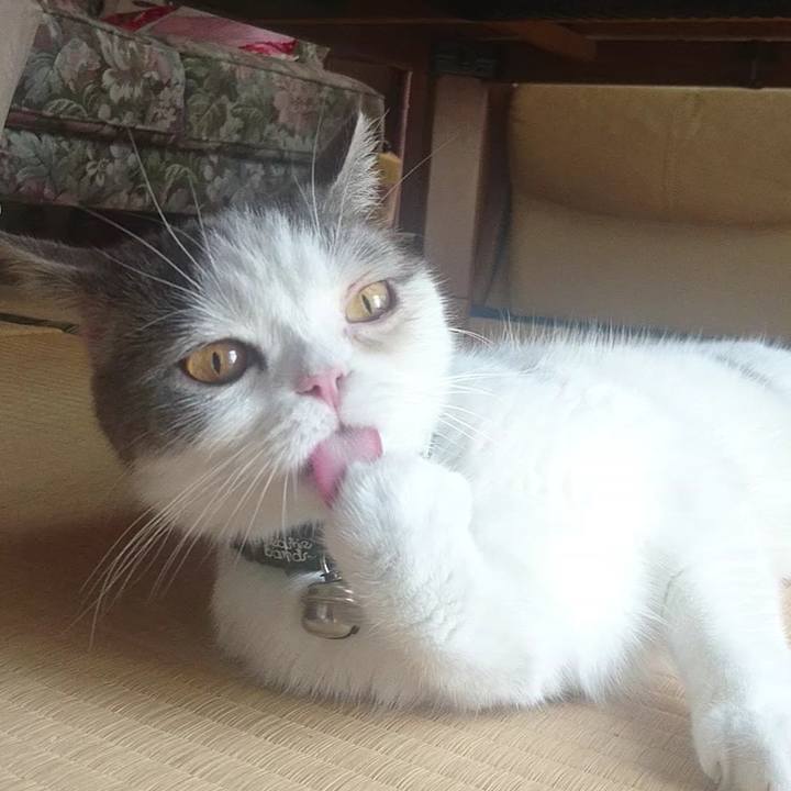 7542e82c dbe3 4f8c aa3a c3d419fbc8b8 1566170083691