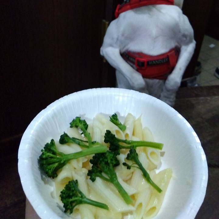 75430125 dd54 4f3a 877e 540abde977bb 1706188060503