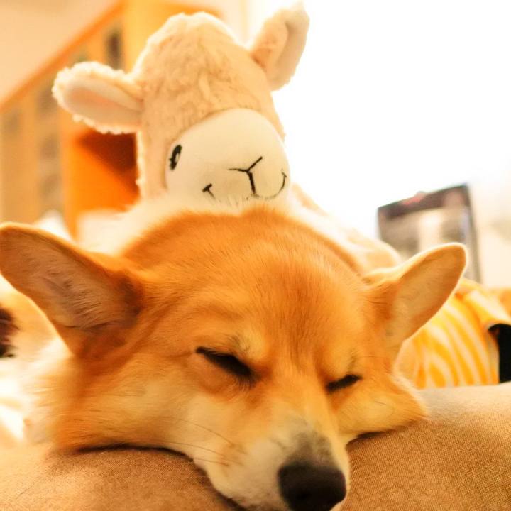 75431219 4f39 47f3 821b 1963898b986a 1572099318983