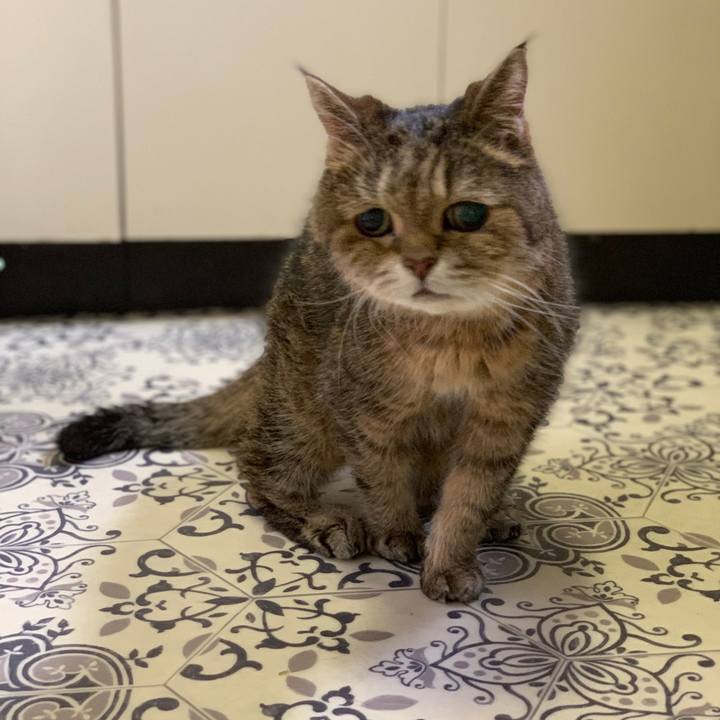 75432142 dc9a 4479 85da 5766d3ac6196 1562669512238