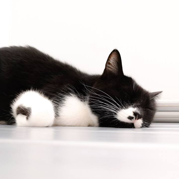 75435e56 55eb 48d3 9950 8ecce30b48c5 1552283421610