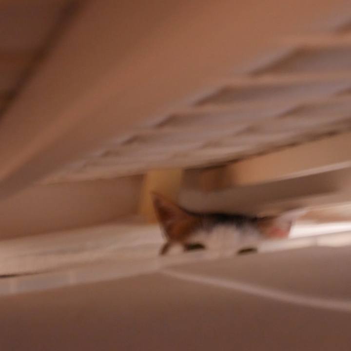 75438994 e0e8 4510 bb2c 55928f37c9ac 1565227191427