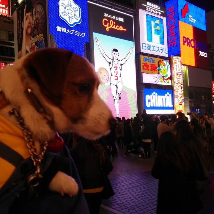 7543917c adc1 4fe7 b444 f07c4d306a65 1520892561388