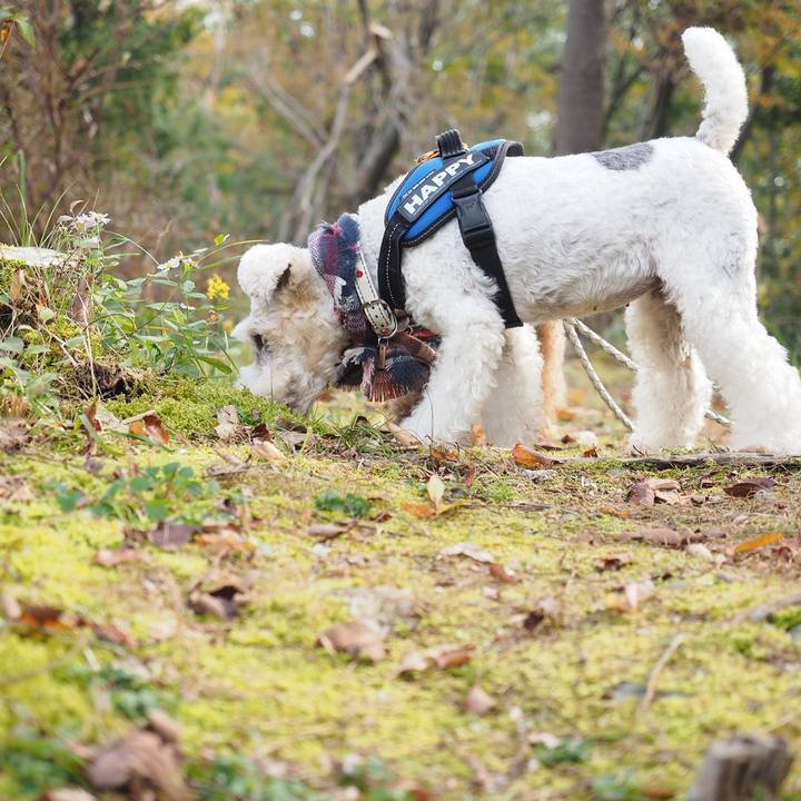 7543c626 5121 445f 96b1 fa367d1e0b41 1574572745510