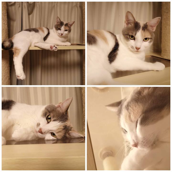 7544657a 3257 4f1a ae71 fcf52dac8c8a 1610462554652