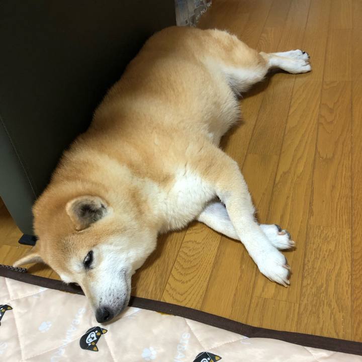 75448690 3f96 4d61 9333 e60ad43b90ab 1565614206409