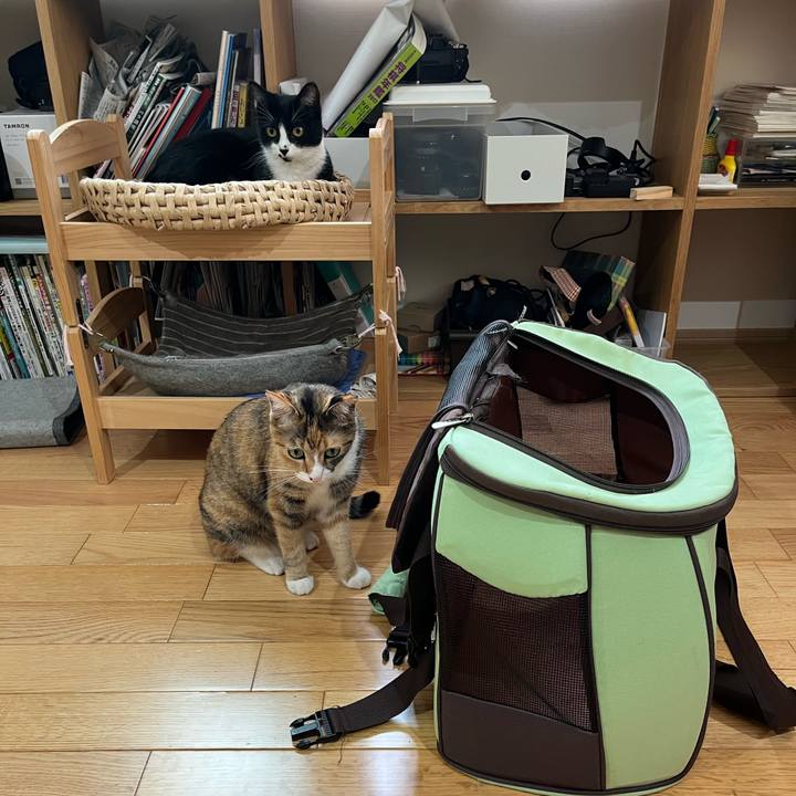 7544a5b4 7eab 424b 93b9 3897cfaba721 1663378862849