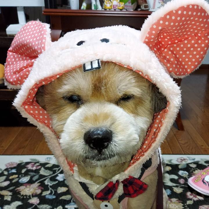 7544b19b 1113 4c33 92fe ff56c6a8093a 1641939491859