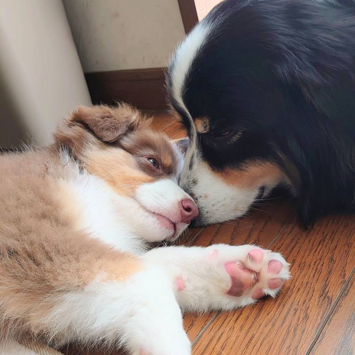 7544b40a 9129 4847 a40a e56b73639d77 1758972554645