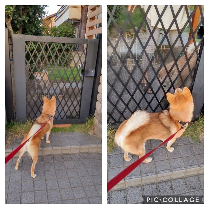 7544beb0 f51f 4f03 8c99 46e4e033e207 1664141897736