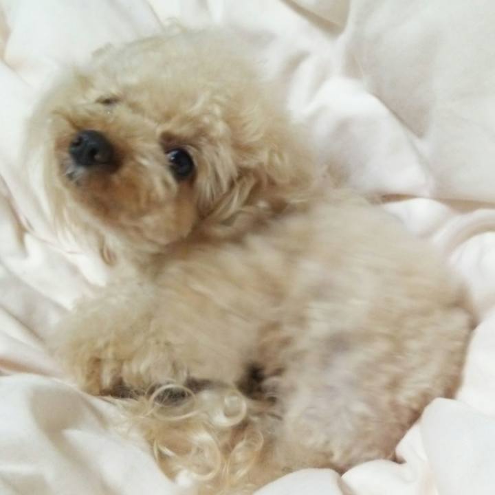 7544bfb5 6f22 4b2c 8744 4ff869d61fcc 1529415602496