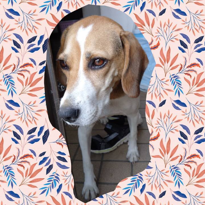 75450450 3b15 4489 b6c0 92533e6d4eea 1601784258952