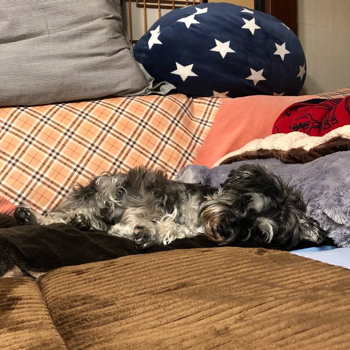 7545291e 68ff 4588 ad6a 986a5e5bf74e 1622037583498