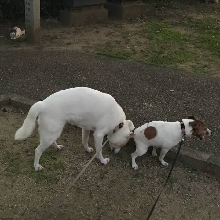 75454979 c131 44d0 ae90 c35351c8701f 1531569248678