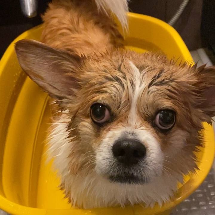 7545804a 5818 4ed0 957b 0e0f4a21ce00 1679910302691