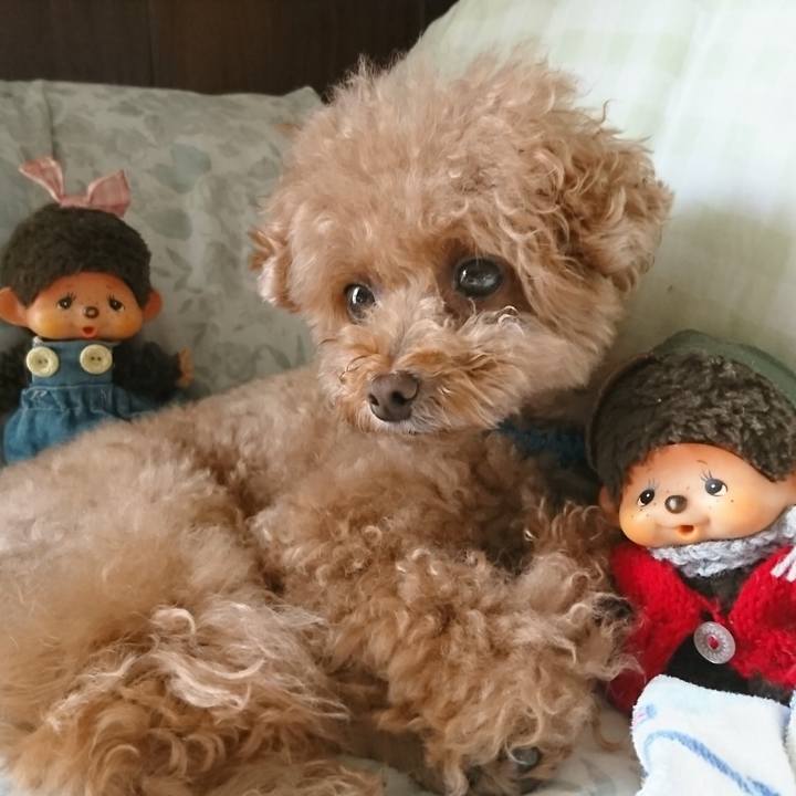 7545a1d0 668a 4d0f b21f ebe1dcb9a9c4 1534146000795