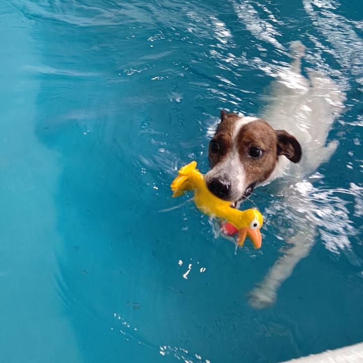 7545fa35 5db5 4864 81ad 7dbd0df374c0 1686224863271