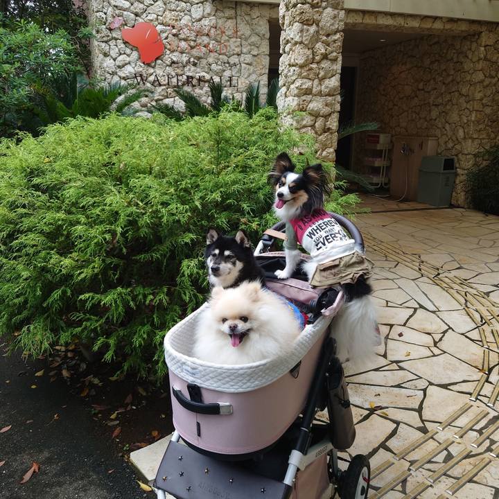 754625c8 b86c 455c 8412 df0b8cd919da 1728057072563