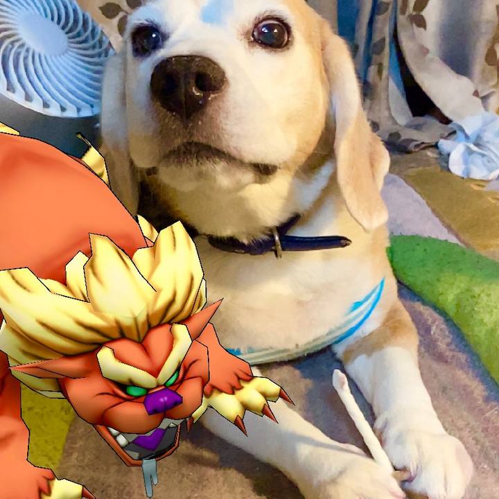 754627d4 bda3 4a3c b53e 155b58302e47 1596426760762