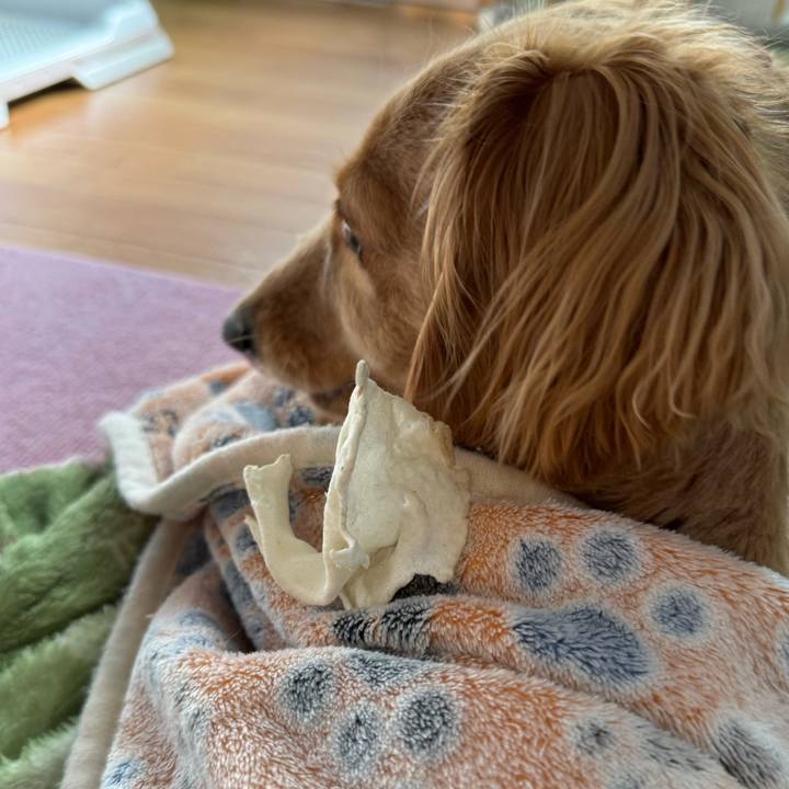 754631b1 299b 4bae 9dbe abf2761a879a 1699935473127