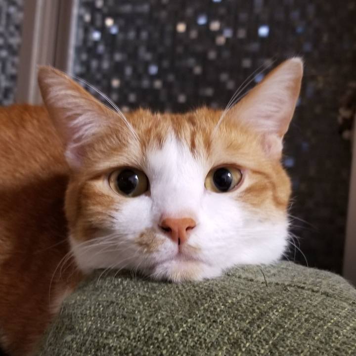 75465890 5170 418b b941 ea1f8d5ee530 1585146358135