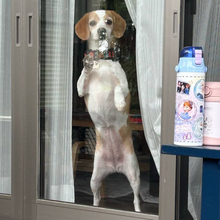 75469147 933d 4c70 86b0 a4ed81a06af5 1725244402302