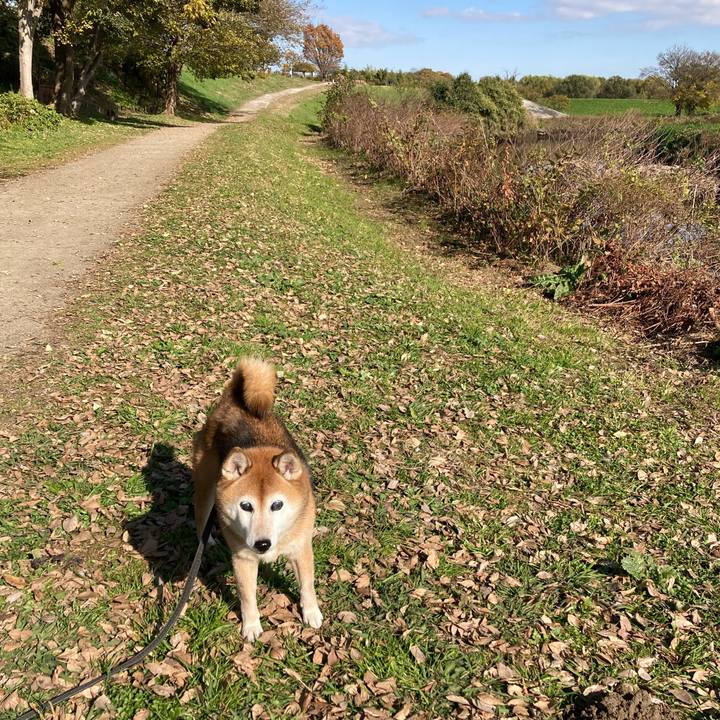 7546a4b7 286c 4dc9 ae2d 758e487a2742 1733121943763