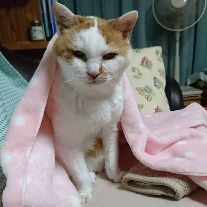 7546ab43 8908 43d1 a87b 4e60d0306eee 1535281347189