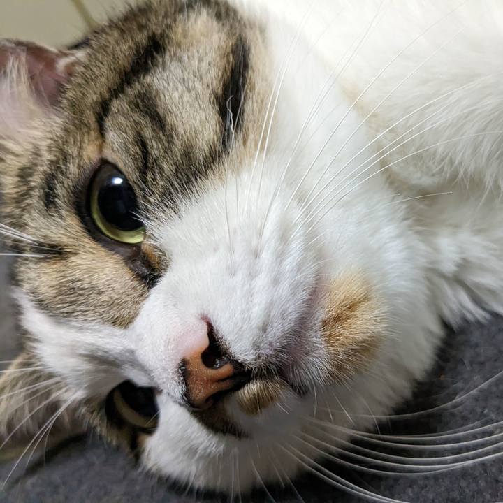 7546c422 9160 4e0c 9127 ae602d03c57f 1686572723296