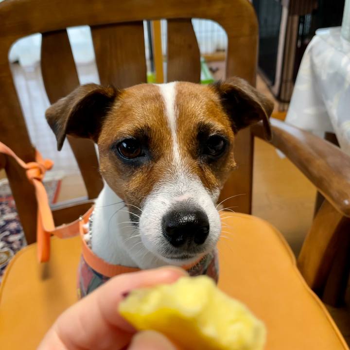 7546d15a f190 4400 b202 28fb307a80da 1634086472599