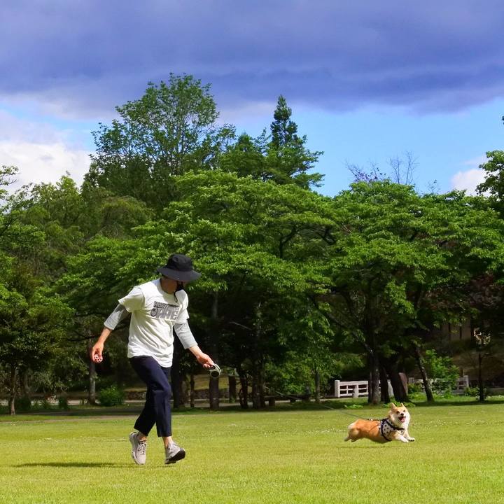 75470019 8acb 4a12 8889 285de1c6ebe6 1622471552312