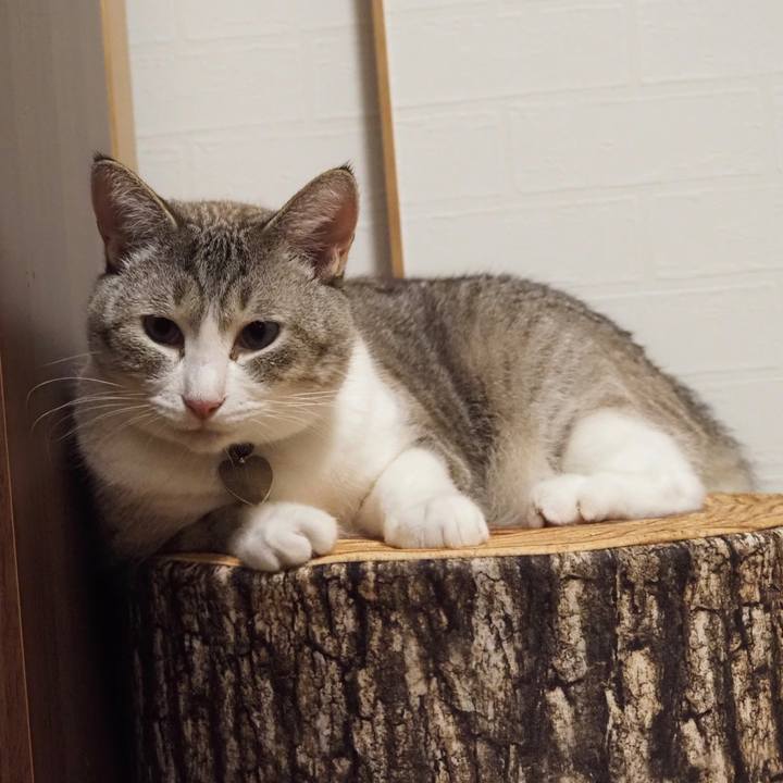 754727c3 932c 4346 a4cc a7afcf36121b 1596725725206