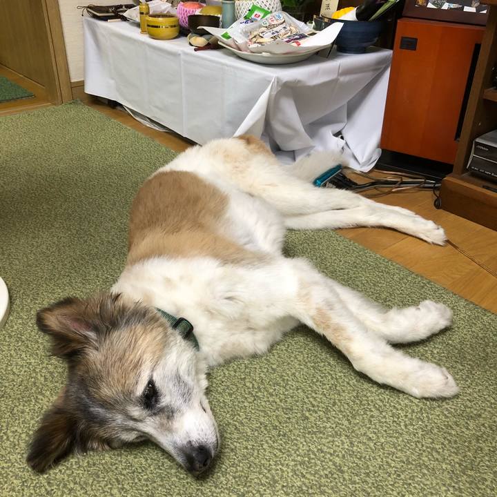 75473855 a4ca 4ffd 8e49 04d969af0bd9 1534292964315