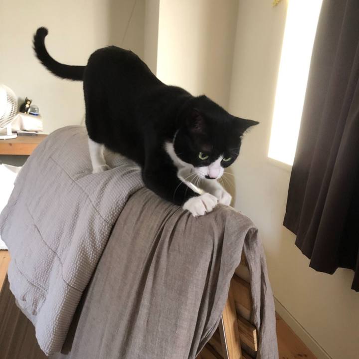 75474689 c329 4747 956a 58b941f5e4ab 1598101308391