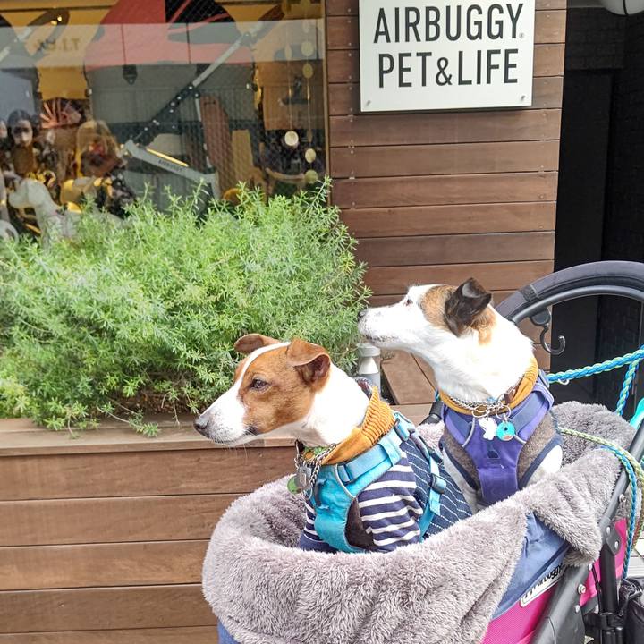 754746cb 3528 4f28 acaa 856c7a8f62c2 1645614075253