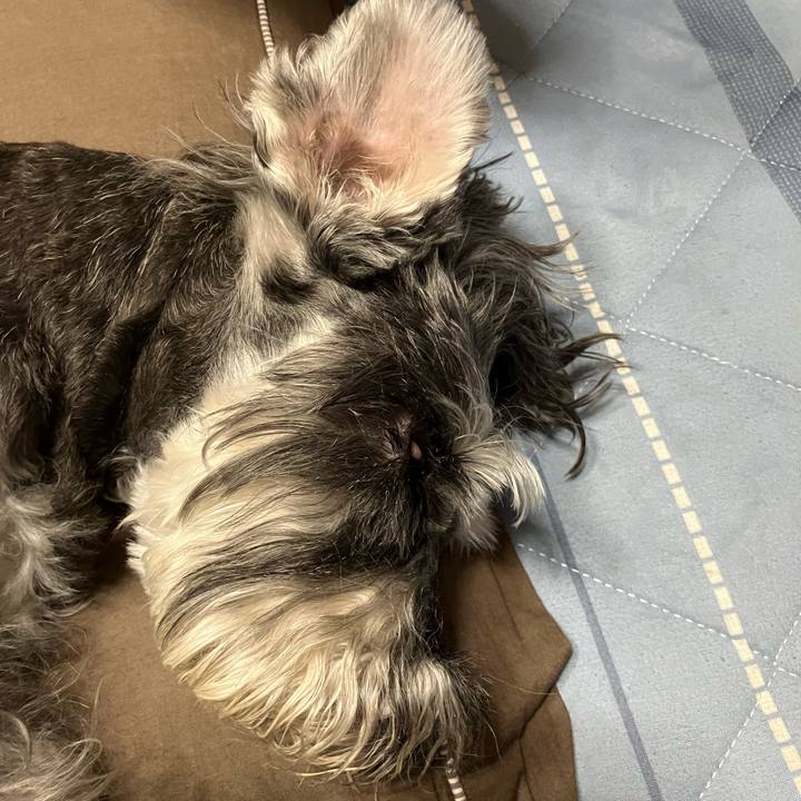 75479d3e 9c45 4eaa 91f4 da715ad66961 1723874191228