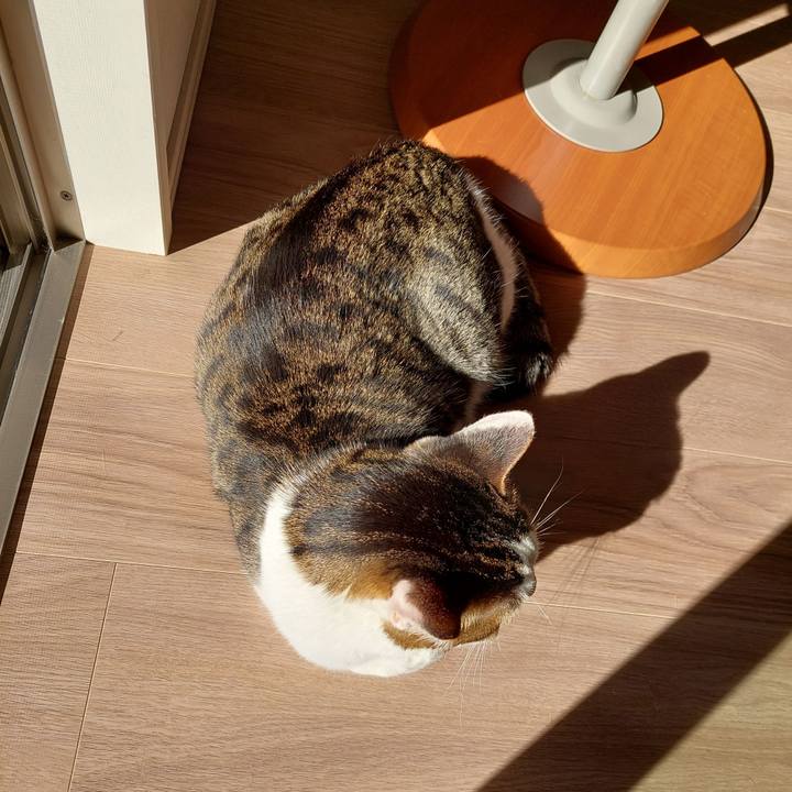 7547a1bf 45eb 4fae 9f11 af401c510e37 1697413470407