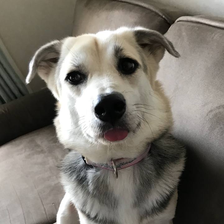 75480e2c 011f 4b35 82c3 8eb20d542972 1512965678991