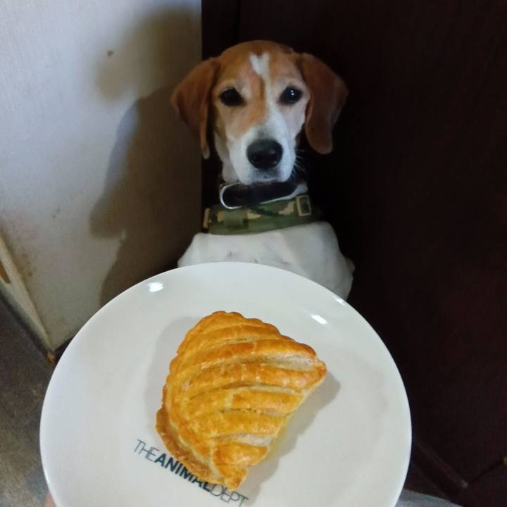 75489c1c 518a 4b56 8208 b5702a6a3c39 1733043270669