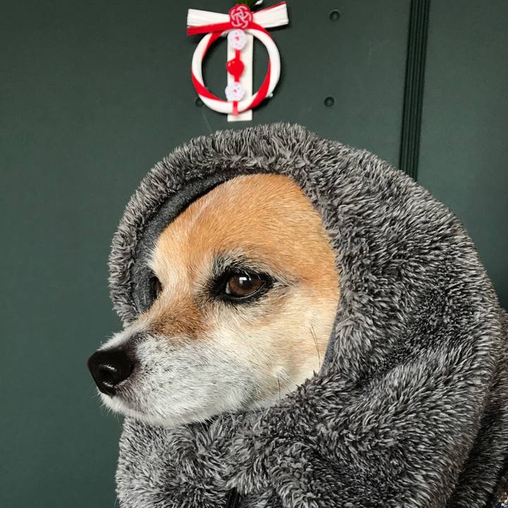 7548bb41 1765 40d2 aec8 43e30f5f836d 1578108264352