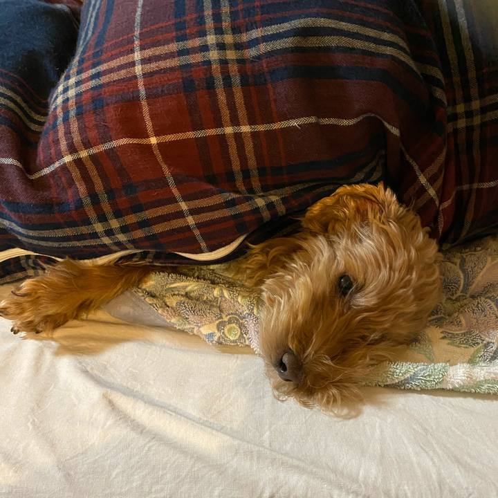 7548e39d 12c6 4dbd b82f dfc6e884f562 1669280976122