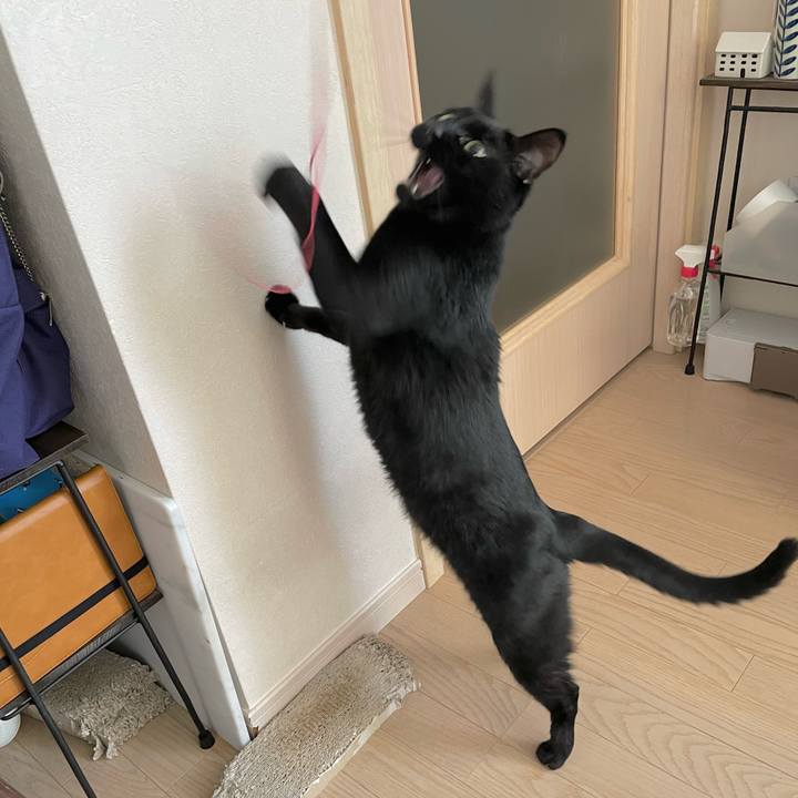 7548e501 1465 43c1 bbf0 75ad3053b061 1646631963861