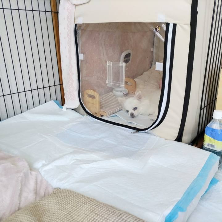 7548ea1f c0ac 41af 97e0 12babec92e7e 1687048898043