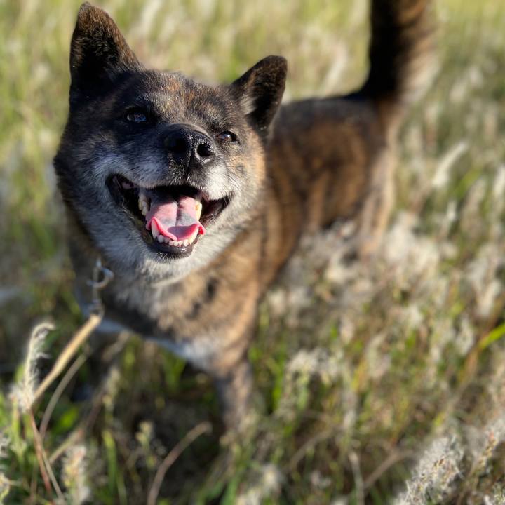 7549015c 75f7 45af af8b f58147f4770e 1592734697178