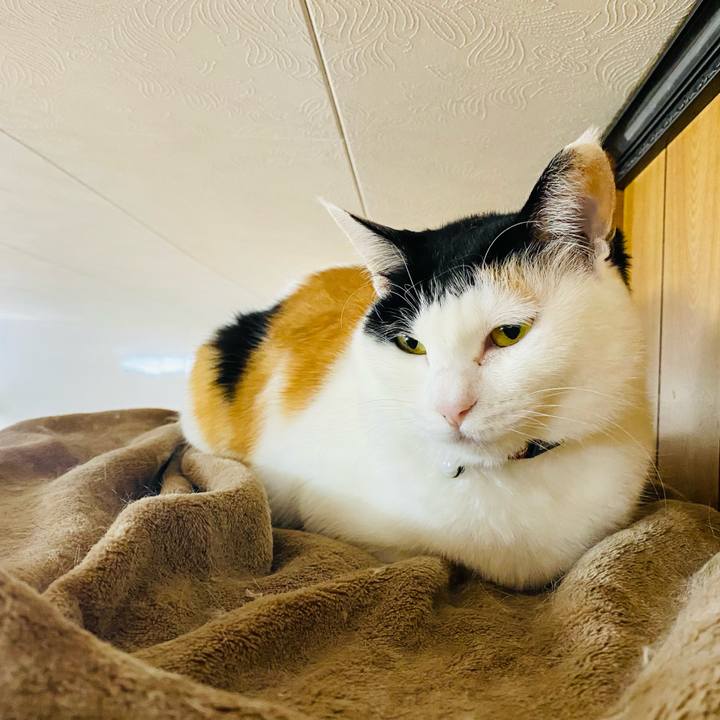 75490335 af63 4e9b ac57 b8cdc4257125 1677975422606