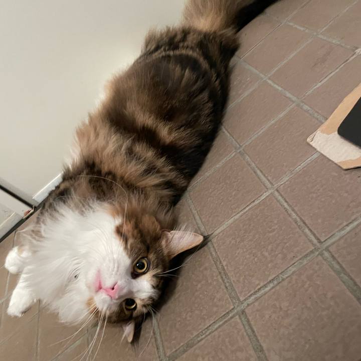 75490b1b 0e81 4b9d 81e4 a0c4a7f10155 1644528338161