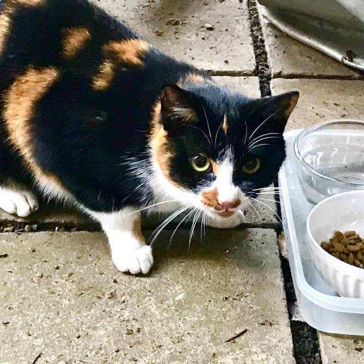 7549a90e 5dfb 4ea3 a6c7 64fc618dcfd9 1520744047650