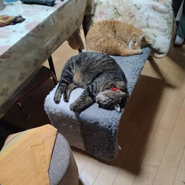 7549b5fa 4627 418f b84a 919d58bc8943 1672132418309