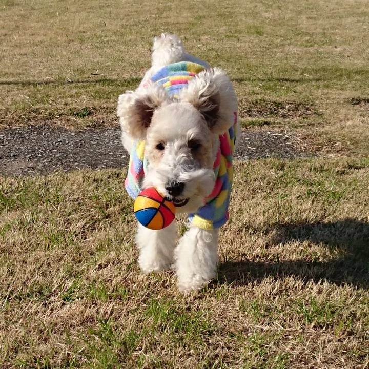 7549d1d7 cc8c 40b4 ab78 e8c782ac60c8 1512268190056